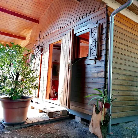 Kleines Studio im Eichenwäldchen, 1 Zimmer Küche Bad Friedrichsgrun Exterior foto