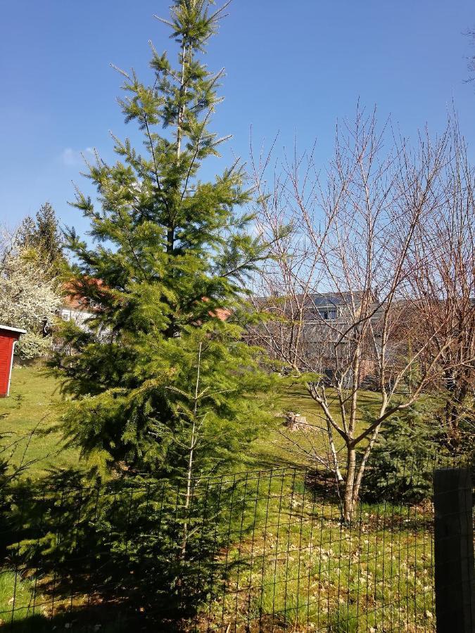 Kleines Im Eichenwaeldchen, 1 Kueche Bad Apartment Friedrichsgrun